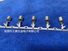 6.0保險絲銅管端子 6.0保險絲銅管端子